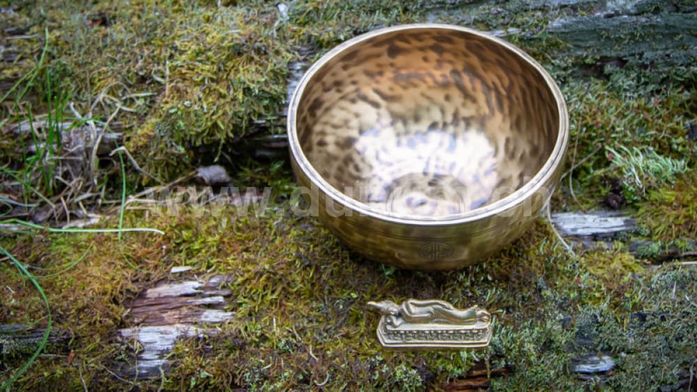 Vollmond Klangschale ø 21 cm - Drittes Auge Chakra | Klangschalen & Stimmgabeln | Vollmond & Chakra Klangschalen | Dunum.ch