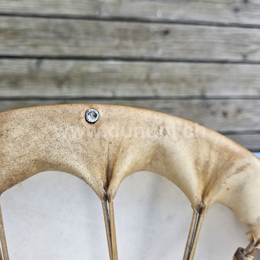 Vollmond Schamanentrommel ø 35 cm - stimmbar - Gemse