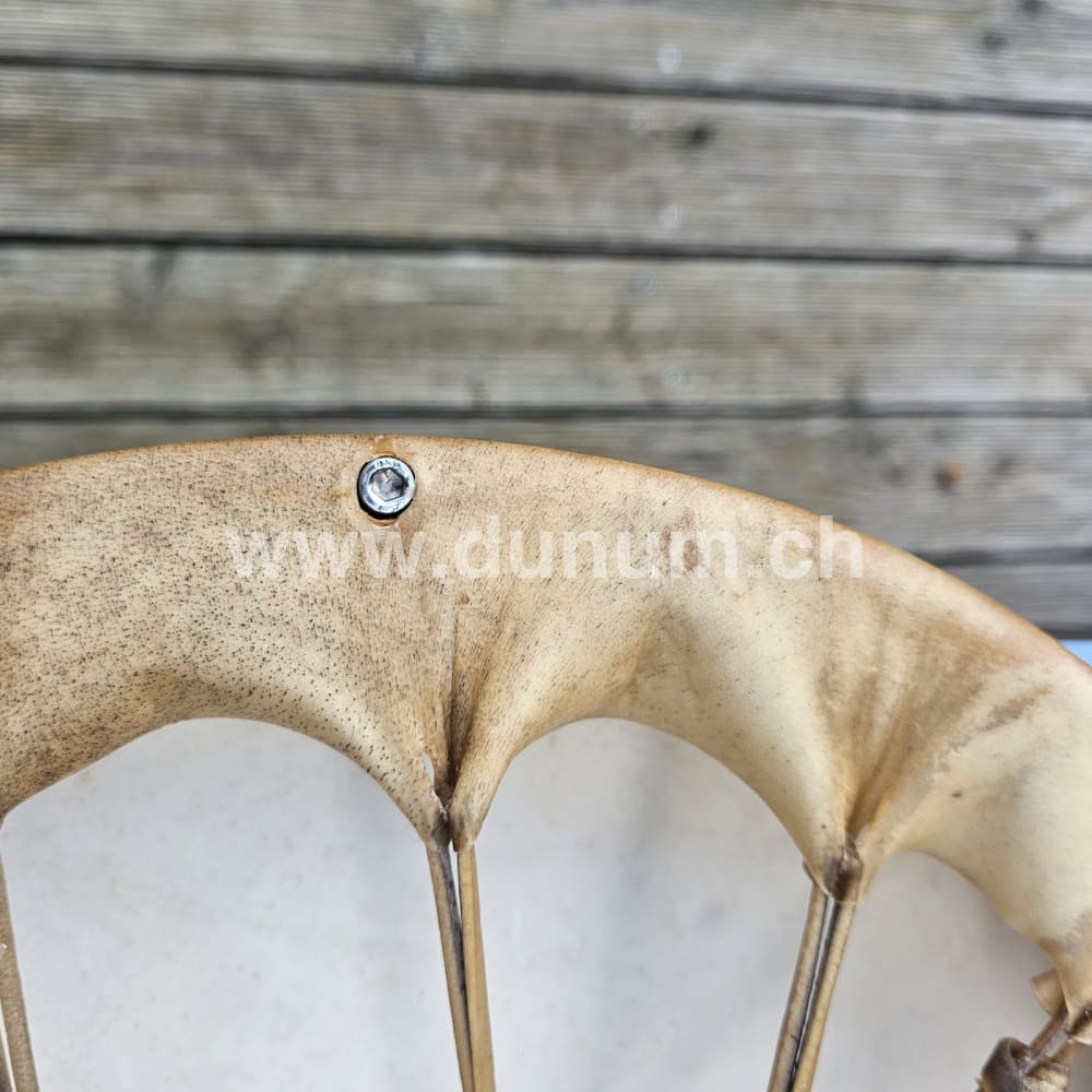 Vollmond Schamanentrommel ø 40 cm - stimmbar - Dammhirsch
