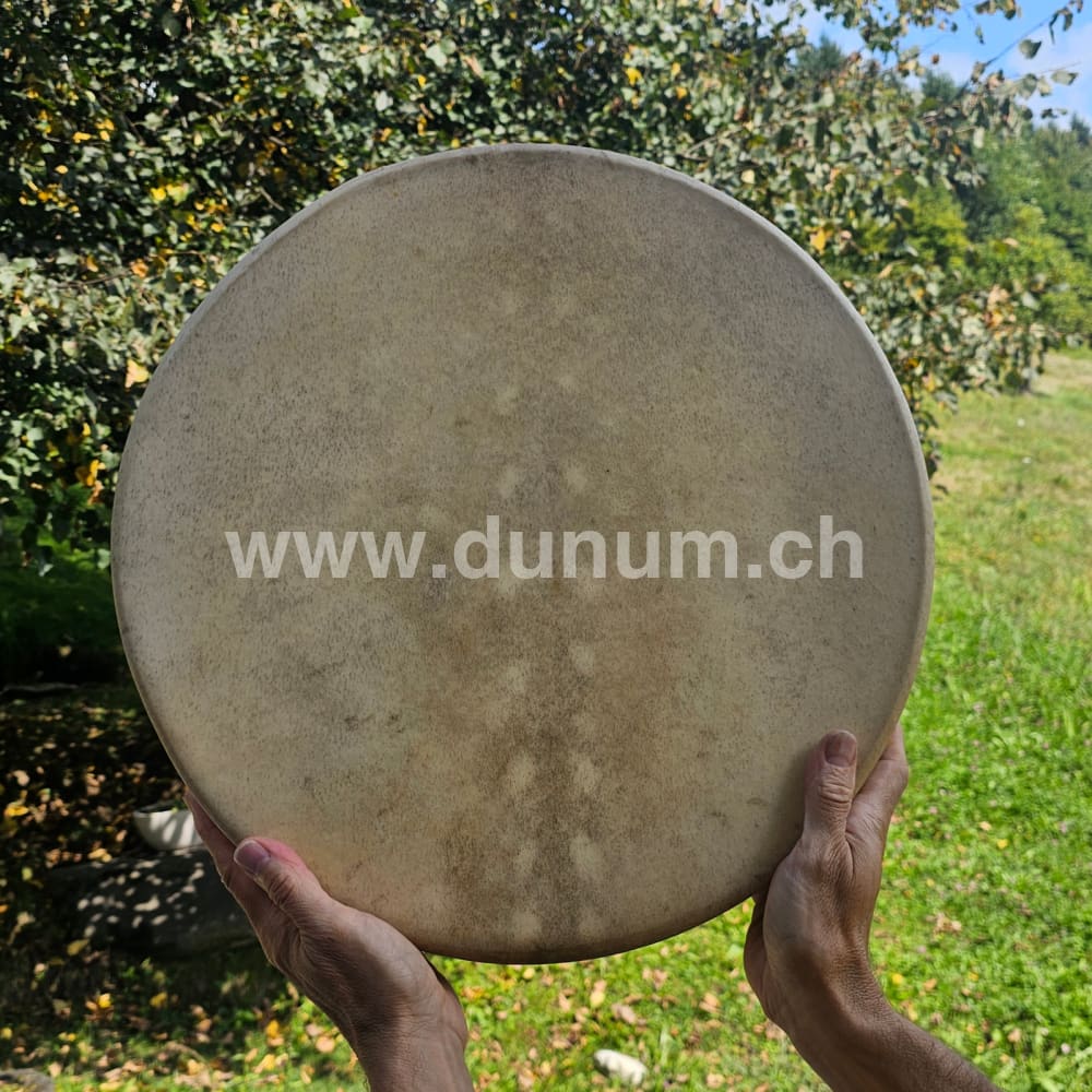 Vollmond Schamanentrommel ø 40 cm - stimmbar - Dammhirsch