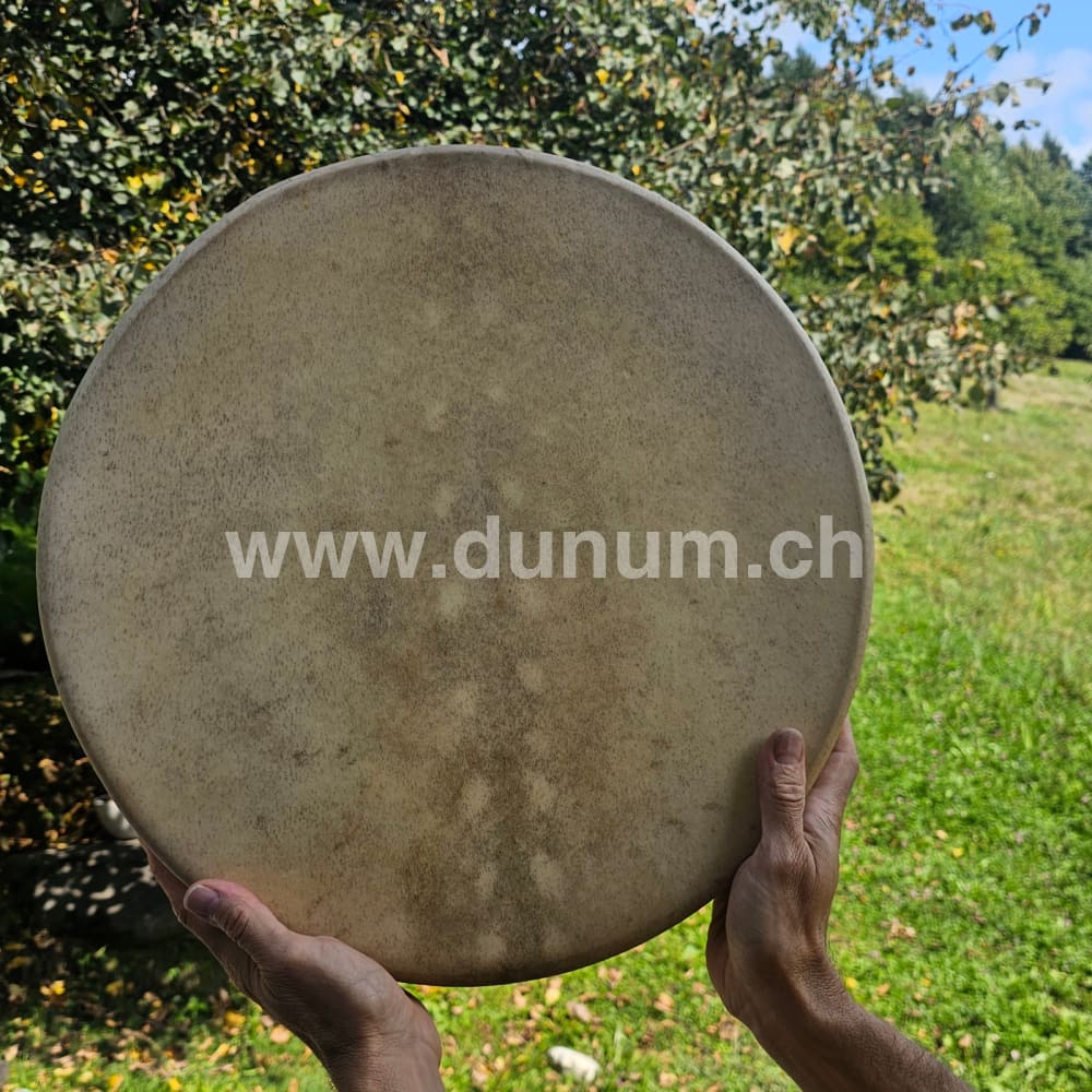 Vollmond Schamanentrommel ø 40 cm - stimmbar - Dammhirsch
