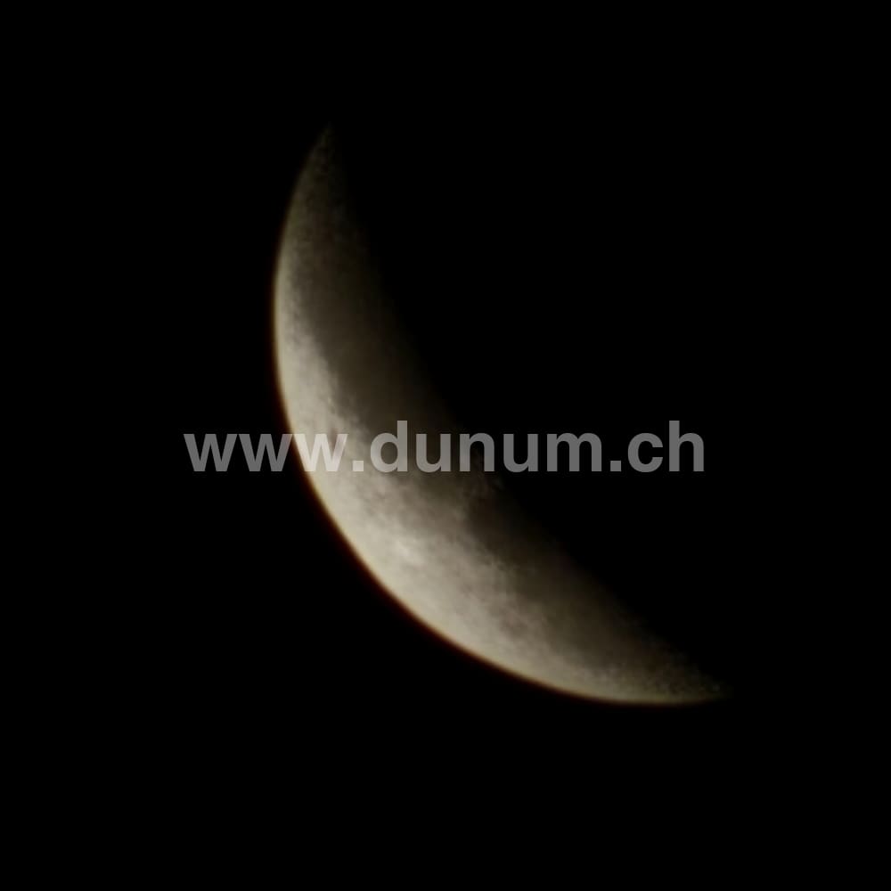 Vollmond Schamanentrommel ø 40 cm - stimmbar - Dammhirsch