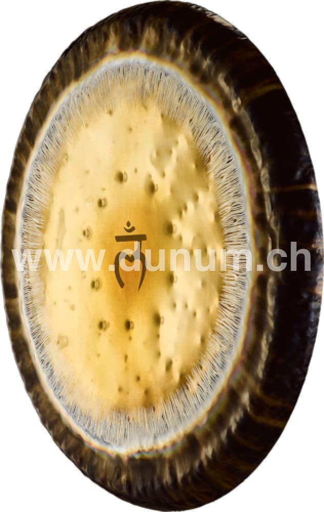 Wurzel Chakra Gong 24" - 60cm | Gong | Planeten & Chakra Gong | Dunum.ch