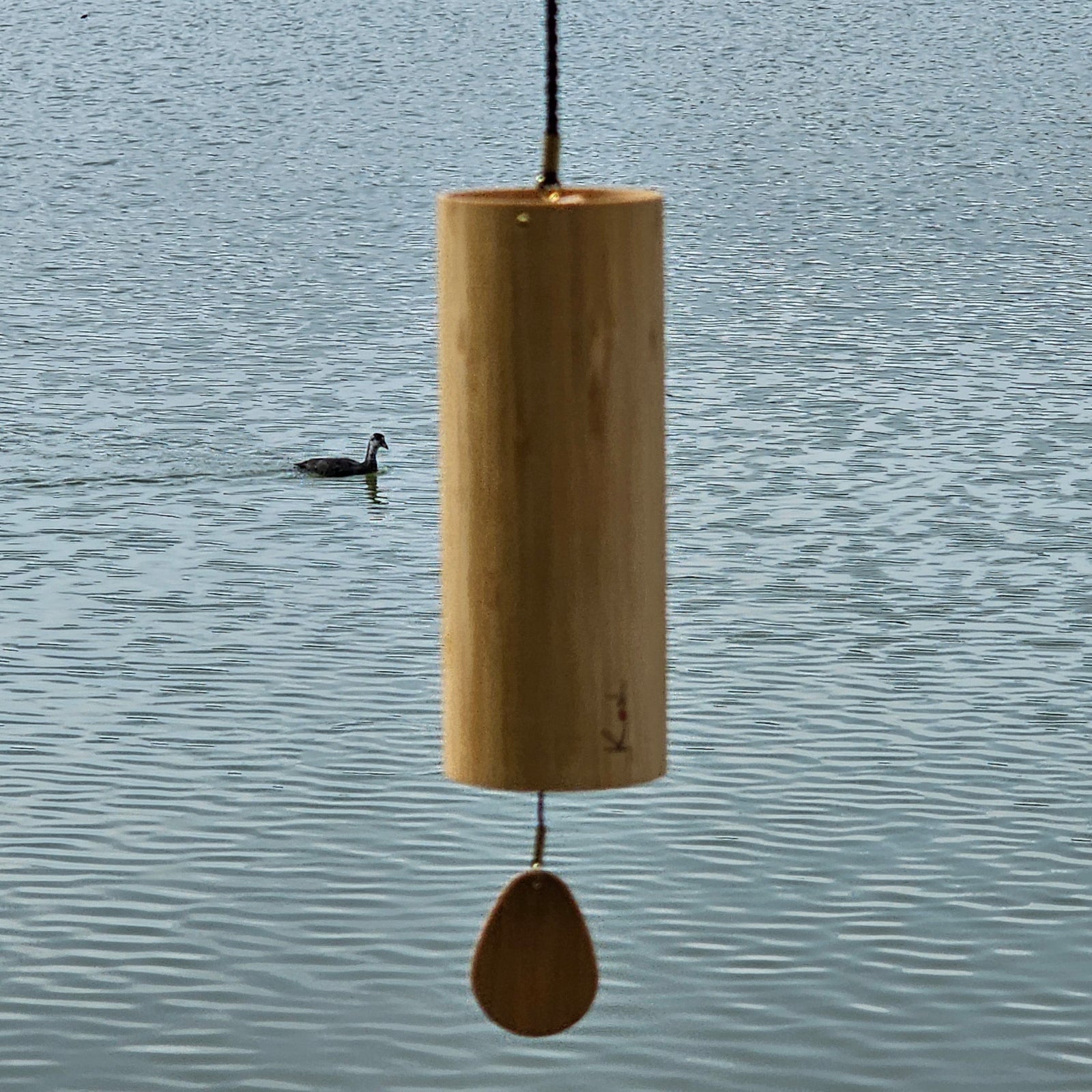 Koshi Aqua - Wasser | Koshi und Zaphir| Dunum.ch