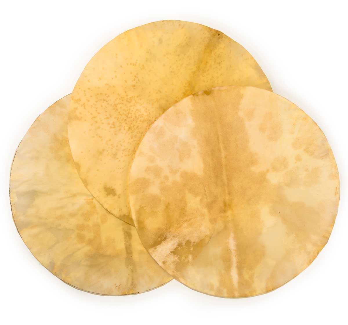 Trommel Haut rasiert | Perkussion | Dunum.ch