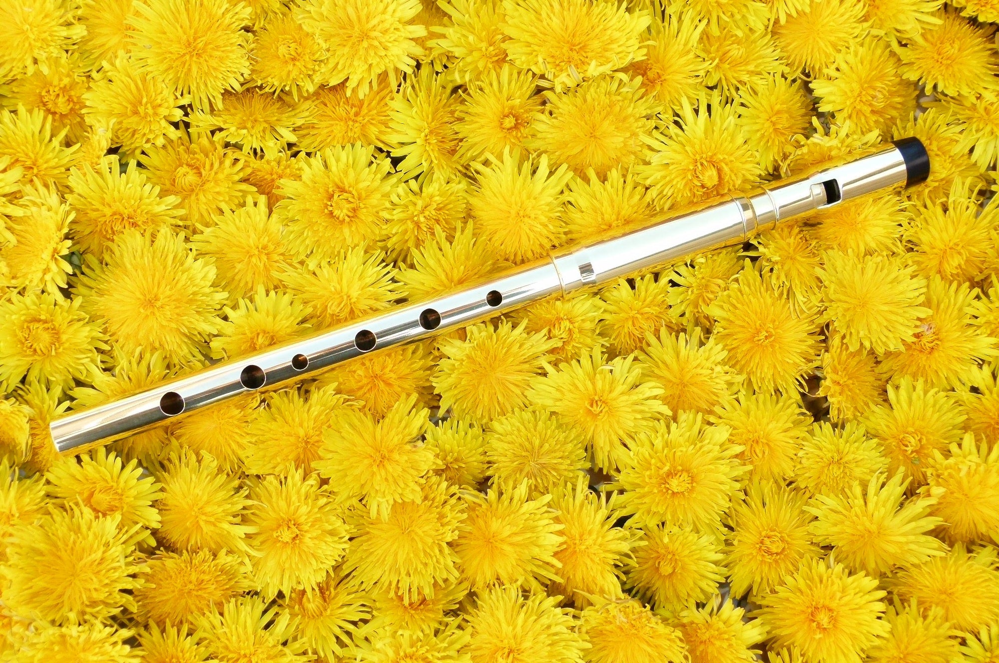 Michael Burke Whistle - D Session Messing | Blasinstrumente | Tin Whistle Welt | Dunum.ch