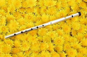 Michael Burke Whistle - D Session Messing | Blasinstrumente | Tin Whistle Welt | Dunum.ch