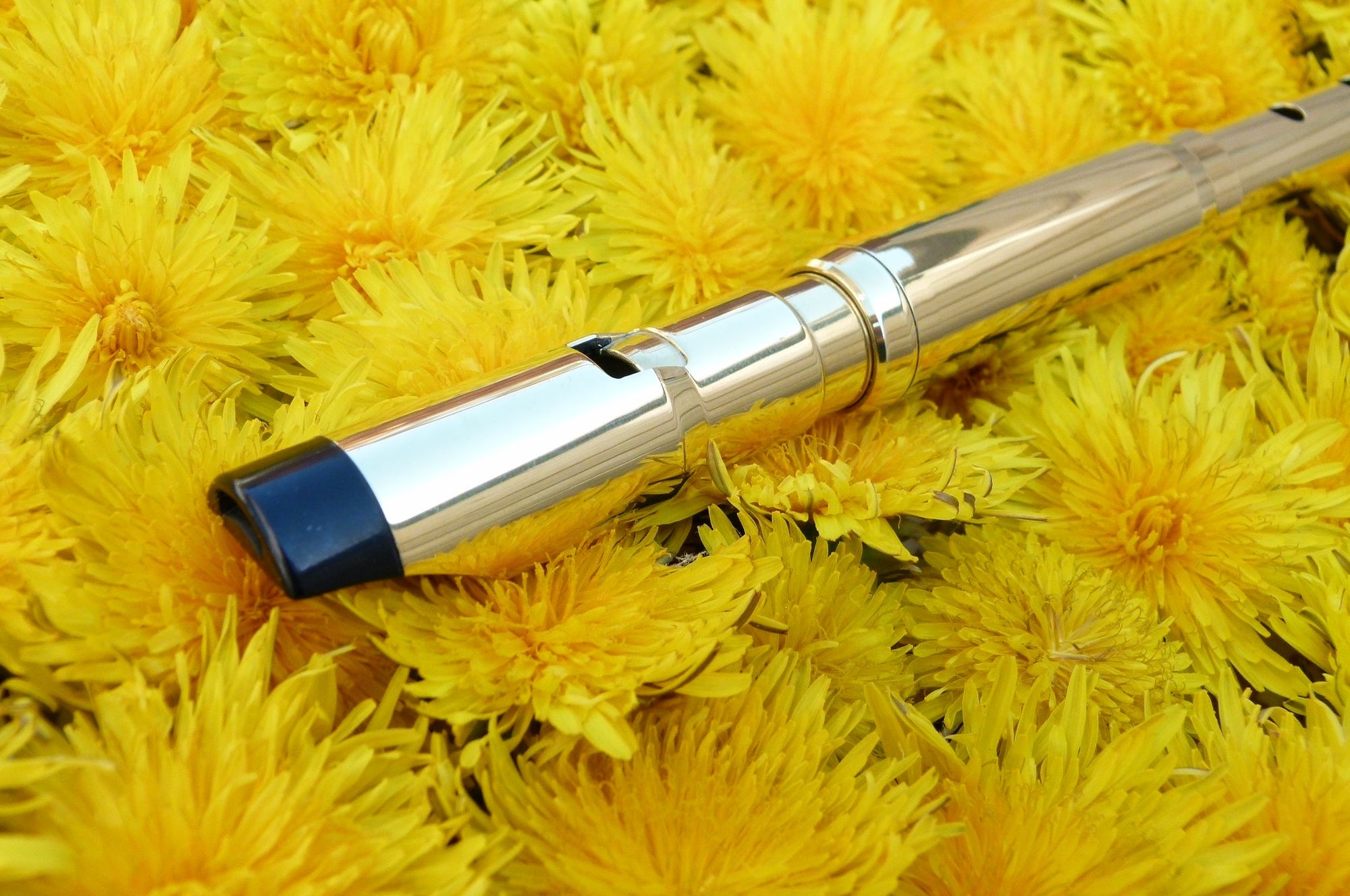 Michael Burke Whistle - D Session Messing | Blasinstrumente | Tin Whistle Welt | Dunum.ch