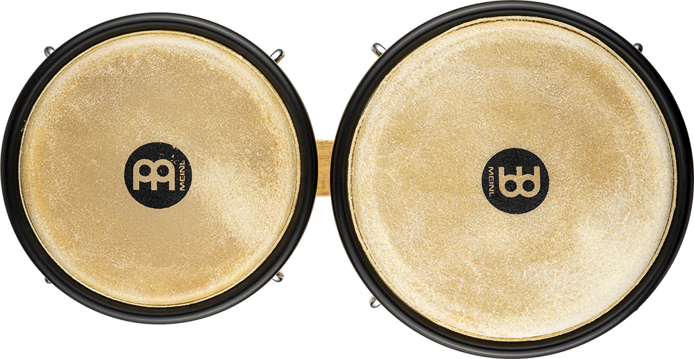 Bongo | Perkussion | Djembé, Bongo und Darbuka | Dunum.ch