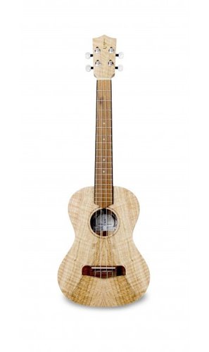 Ukulele Tenor Eiche mit Tasche | Saiteninstrumente | Ukulele, Eco Guitarre & Bass | Dunum.ch