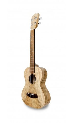 Ukulele Tenor Eiche mit Tasche | Saiteninstrumente | Ukulele, Eco Guitarre & Bass | Dunum.ch