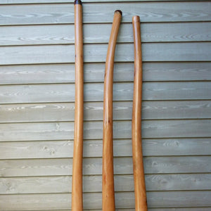 Didgeridoo Sabo Holz | Didgeridoo & Maultrommeln | Dunum.ch